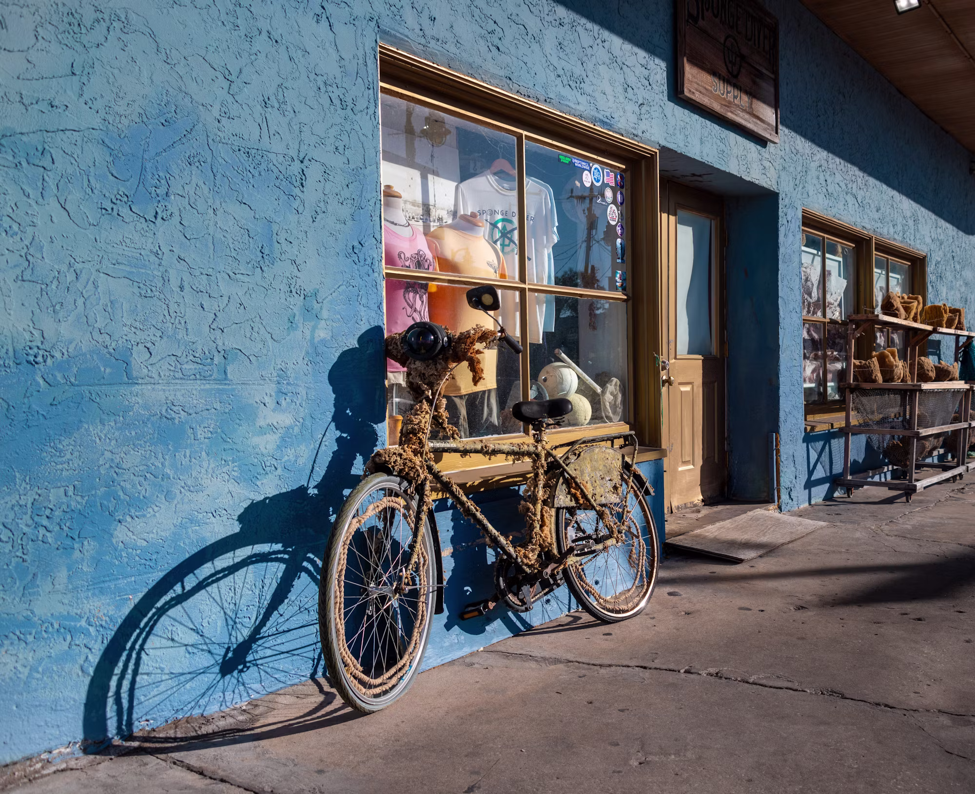 Exploring the Evolution of Retail: Trends Shaping the Future of Shopping